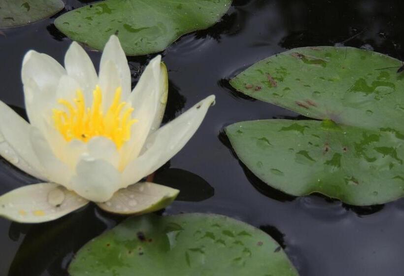 Bed and Breakfast Domaine De Meigne