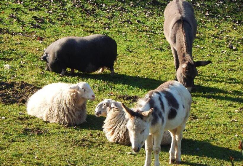Bed and Breakfast Gilda E I Suoi Amici