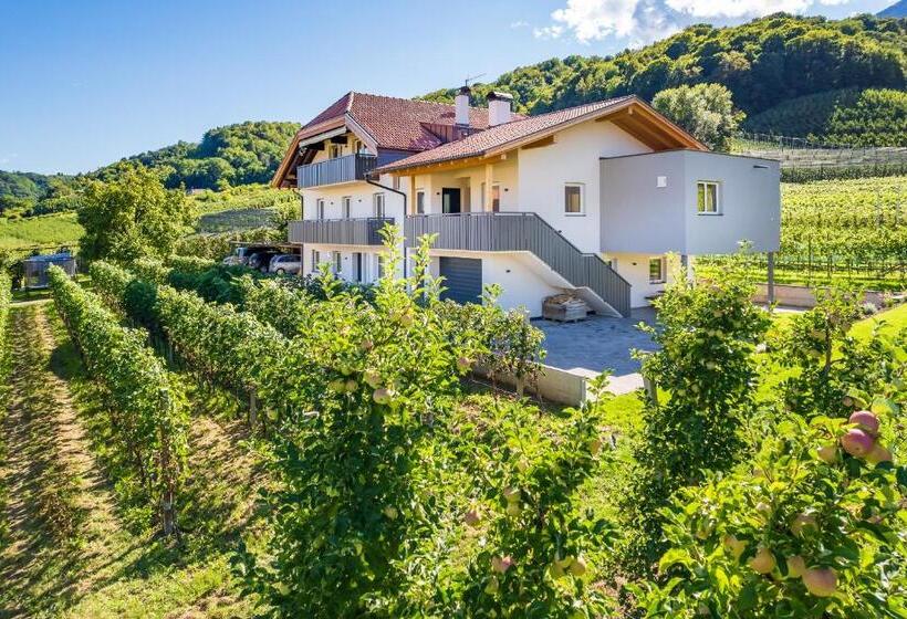 تختخواب و صبحانه Haus Stolz