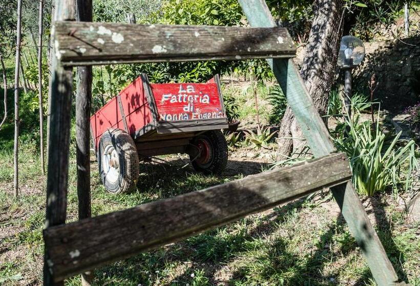 مبيت وإفطار La Fattoria Di Nonna Eugenia