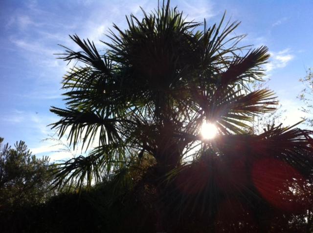 Bed and Breakfast Les Glycines