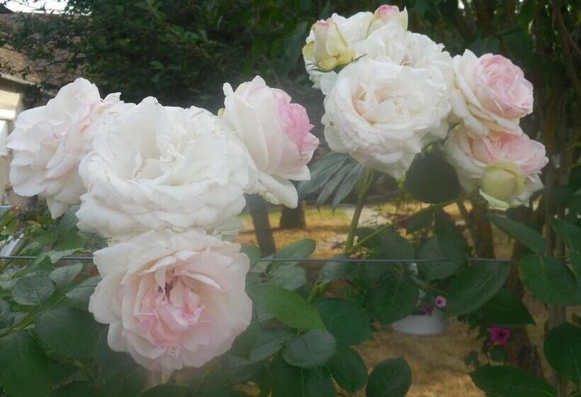 住宿加早餐 Les Rouches