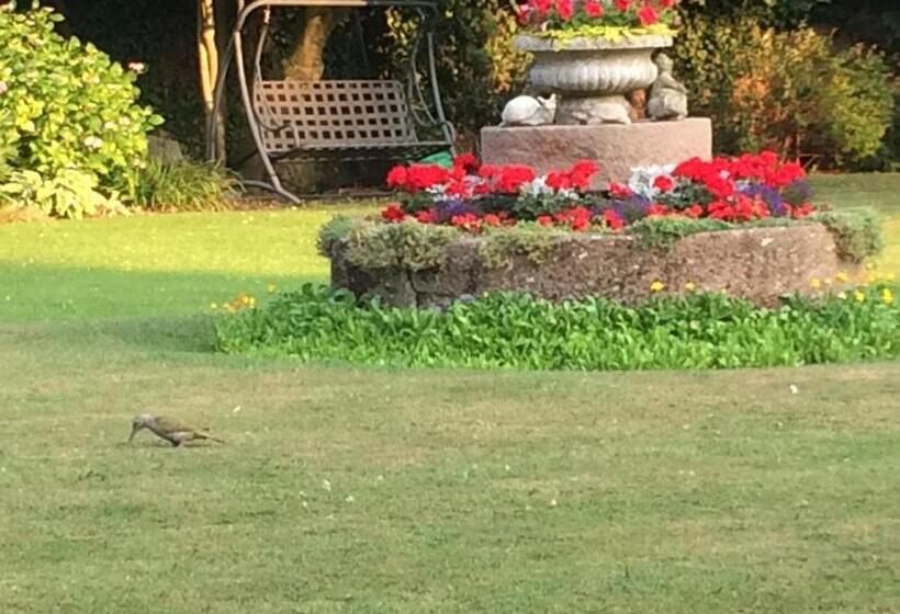 ベッドアンドブレックファースト Little Manor