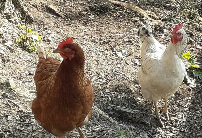 مبيت وإفطار Marika S Home