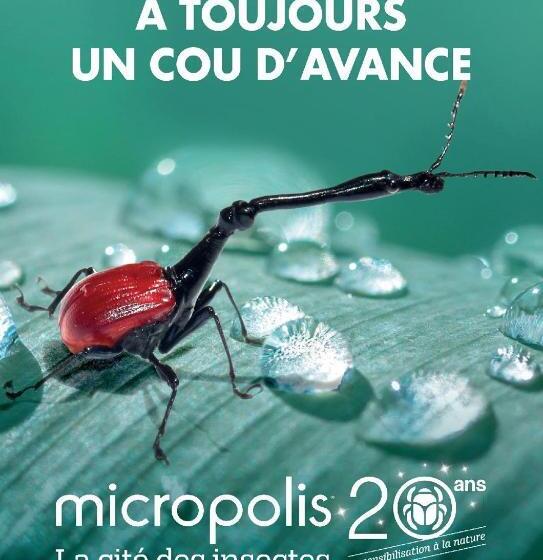 住宿加早餐  Mas De La Boheme   L Hermet