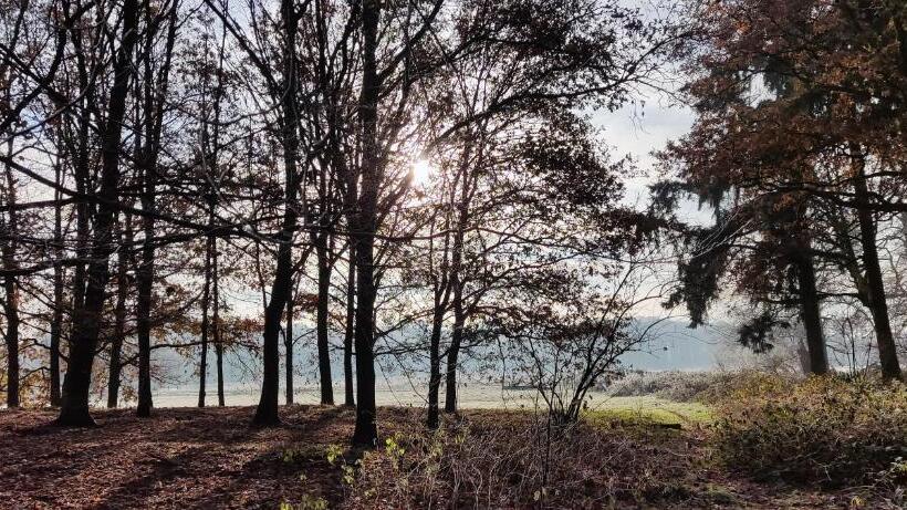 ベッドアンドブレックファースト Overbosch