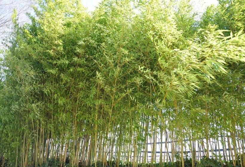 مبيت وإفطار Relais Des Roches