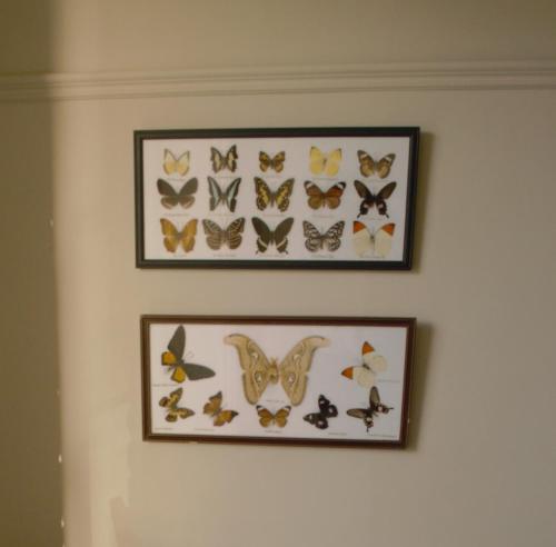 Bed and Breakfast Sankence Lodge