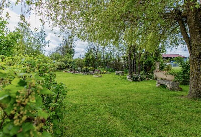 민박 The Wild Seeds