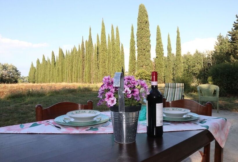 تختخواب و صبحانه Villa Albertina