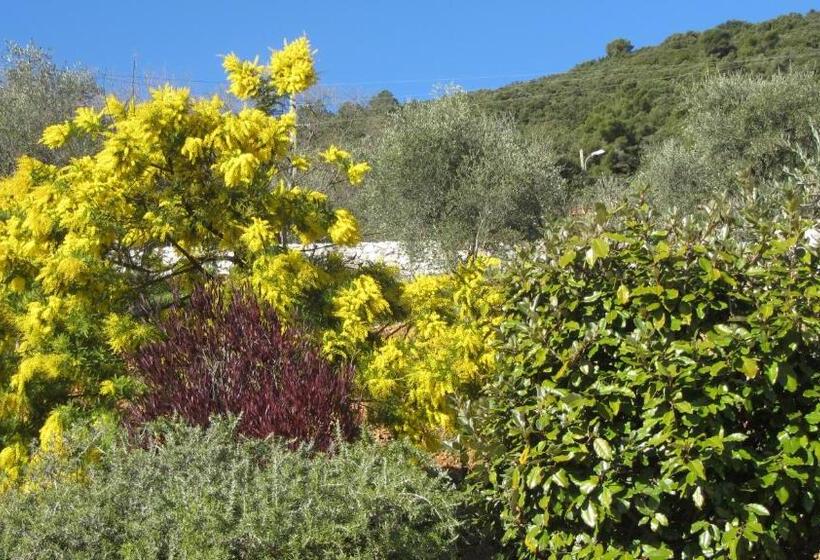 مبيت وإفطار Villa Des Oliviers