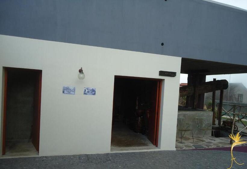 فندق A Casa Estrelícia Dourada Garcês