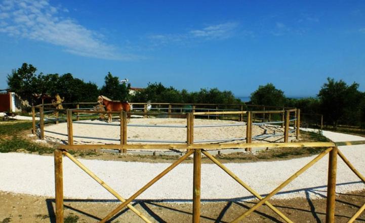 فندق Agriturismo La Casa Della Lavanda   Il Rustico