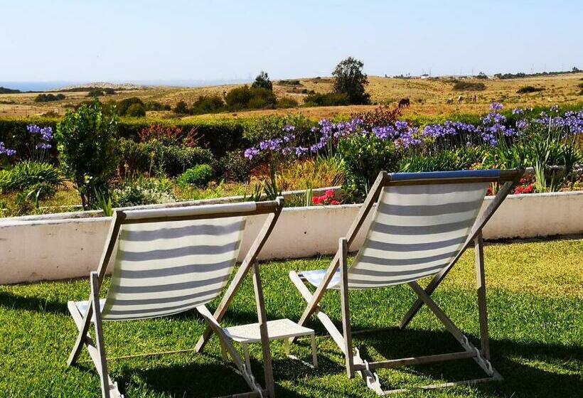 ホテル Herdade Do Pessegueiro