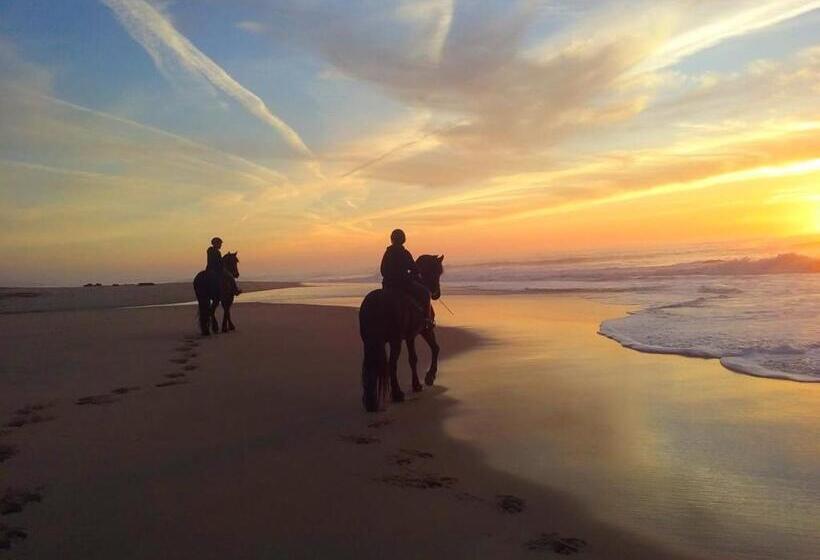 ホテル Herdade Do Pessegueiro