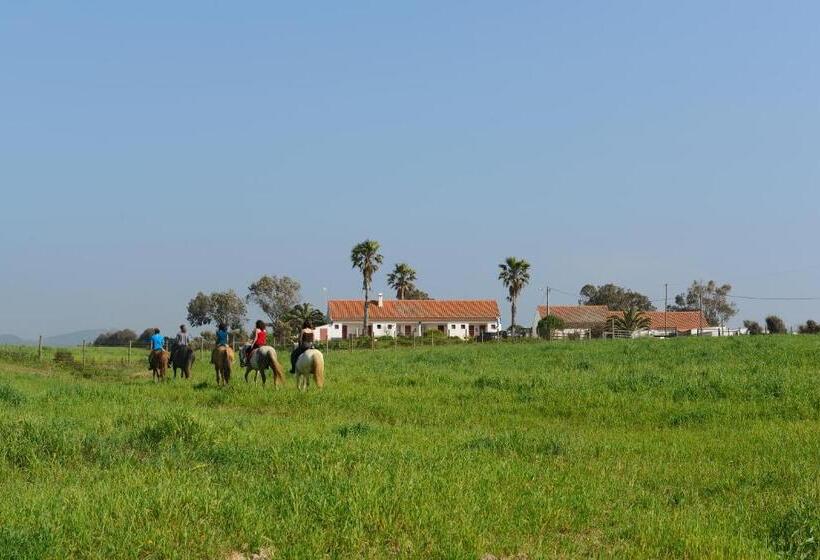 ホテル Herdade Do Pessegueiro