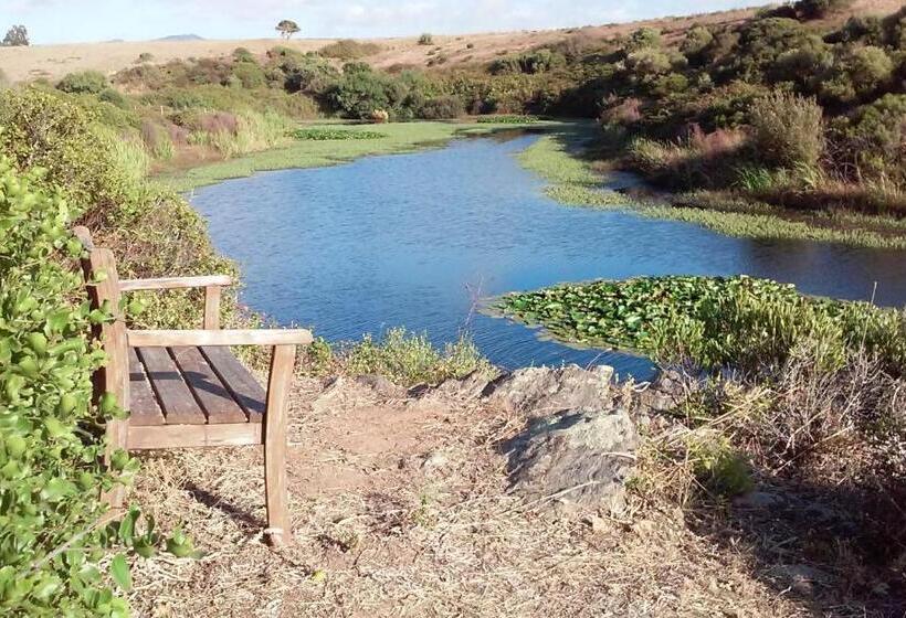 ホテル Herdade Do Pessegueiro