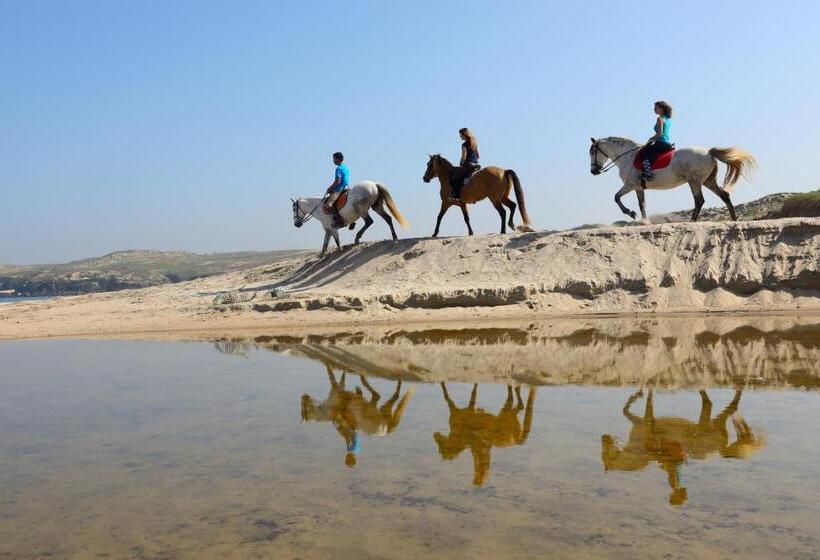 ホテル Herdade Do Pessegueiro