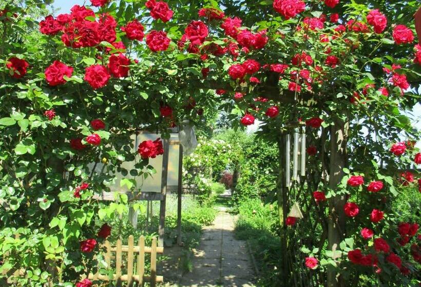 Отель Stefflhof