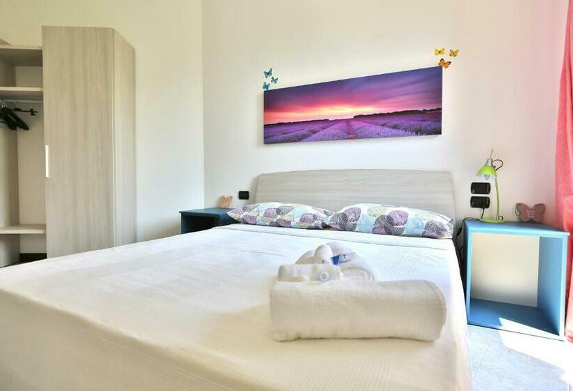 פנסיון Camera Molly