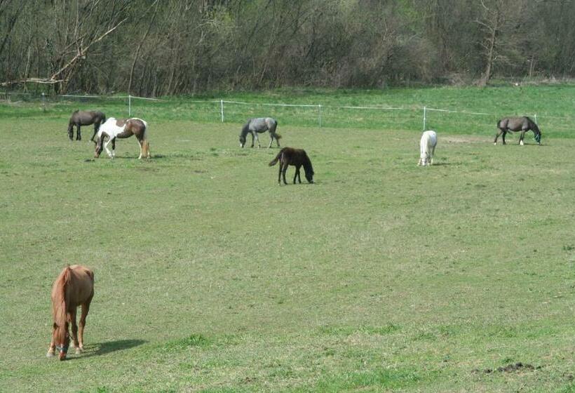 بنسيون Gadányi Vendégház és Lovarda