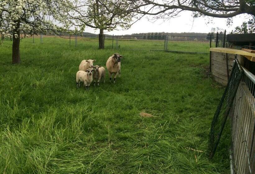 ペンション Gästehaus Schirner