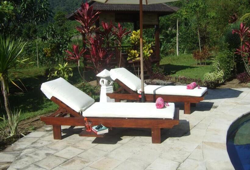 膳宿费 Guesthouse Rumah Senang