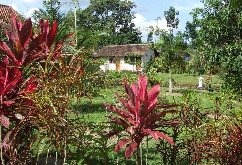 膳宿费 Guesthouse Rumah Senang