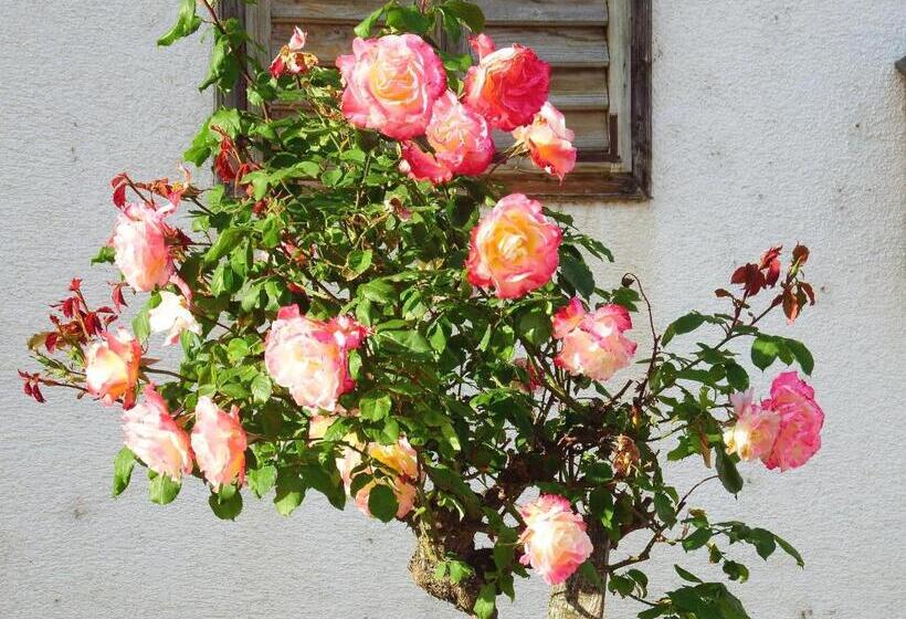 Пансион Haus Margarethe