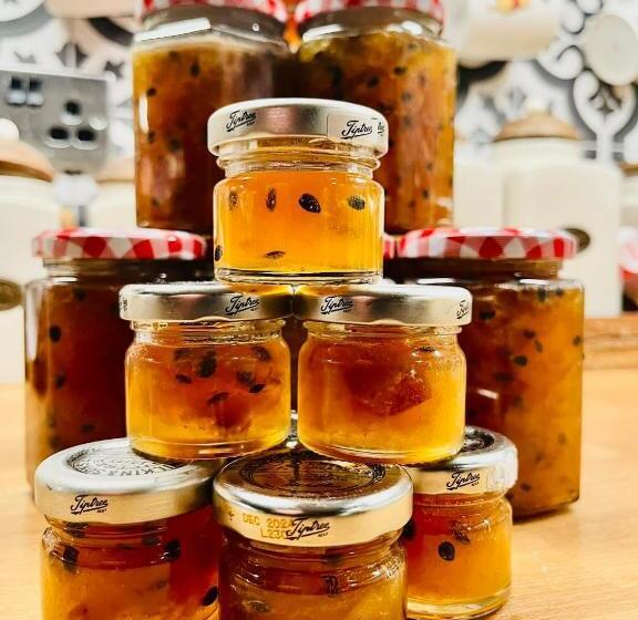 بنسيون Norlande