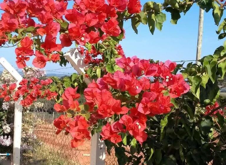 ペンション Pousada E Chales Por Do Sol