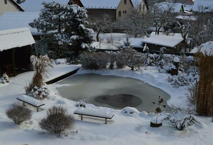 פנסיון Privat Pod Skalkou