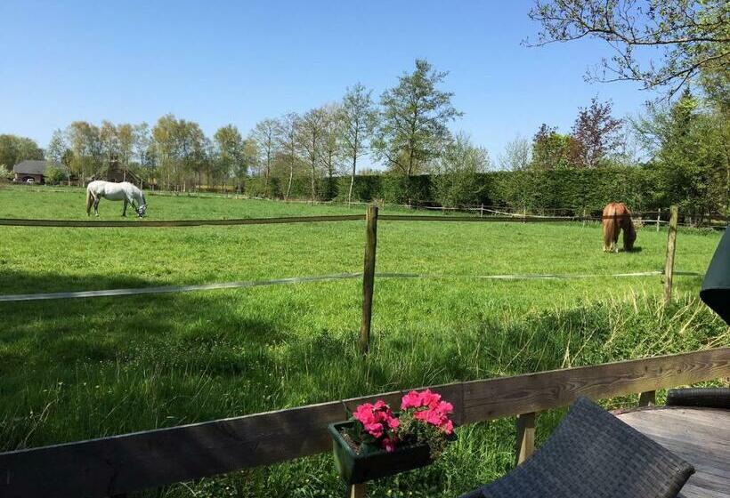 膳宿费 The Old Barn