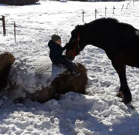 ペンション Ubytovanie V Súkromí Michalák