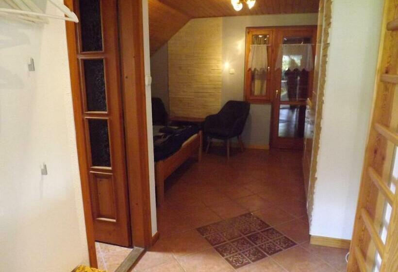 פנסיון Zoltán Borháza