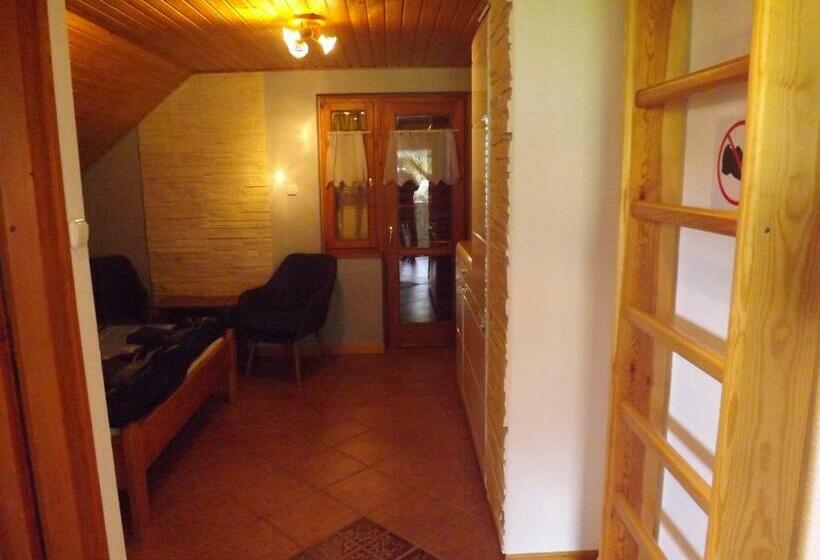 פנסיון Zoltán Borháza