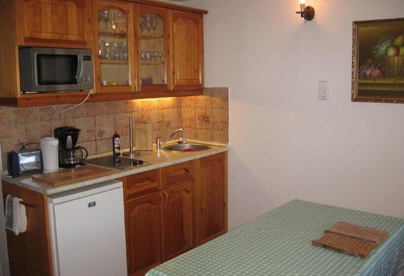 פנסיון Zoltán Borháza