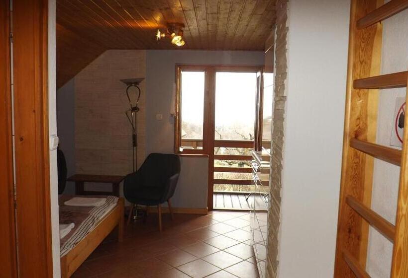 פנסיון Zoltán Borháza