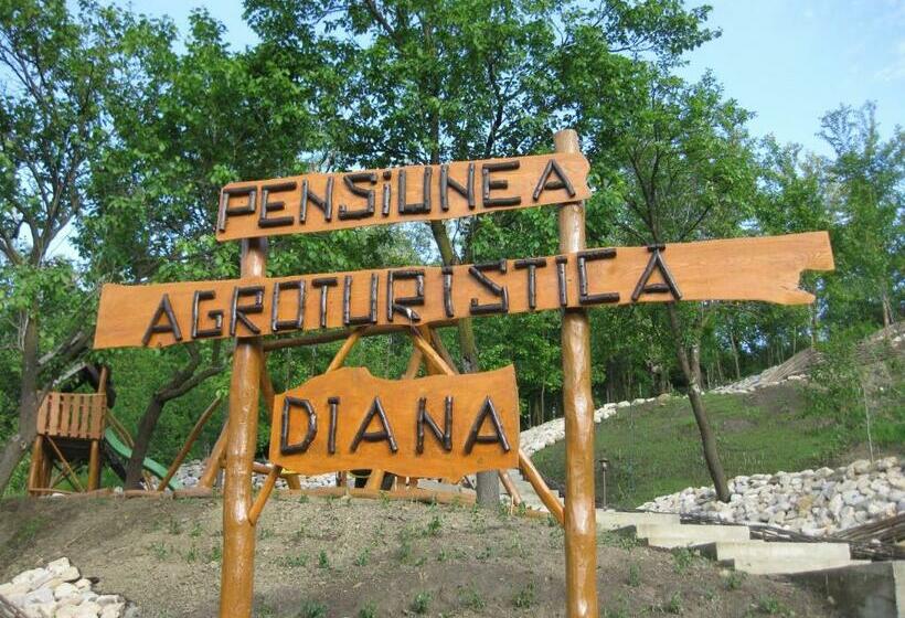Pensiunea Agroturistica Diana