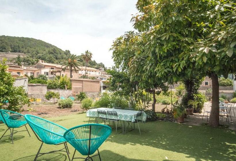 Sa Fita Backpackers   Albergue Juvenil