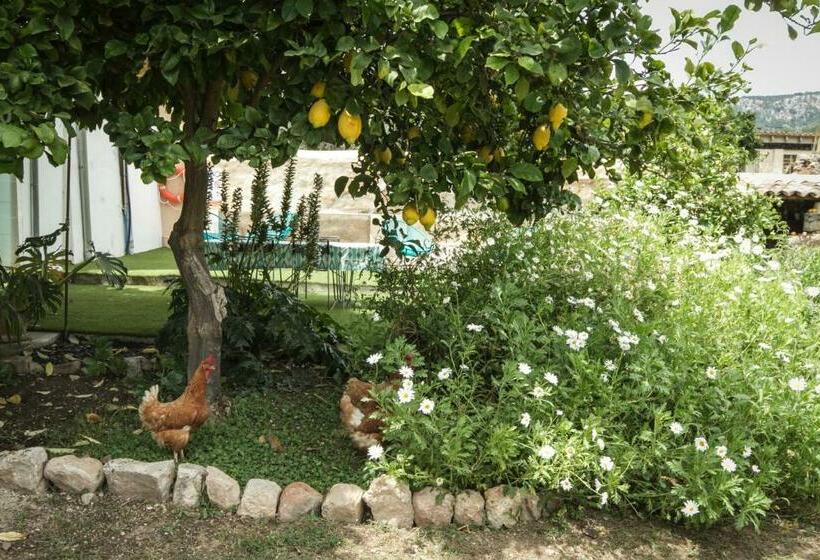 Sa Fita Backpackers   Albergue Juvenil