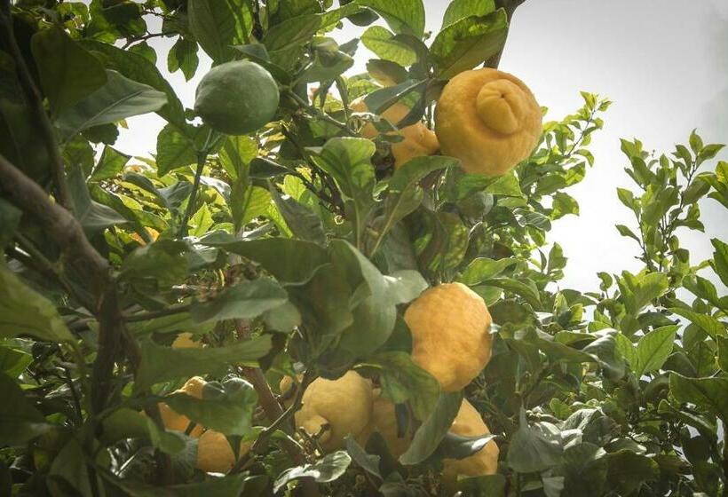 Sa Fita Backpackers   Albergue Juvenil