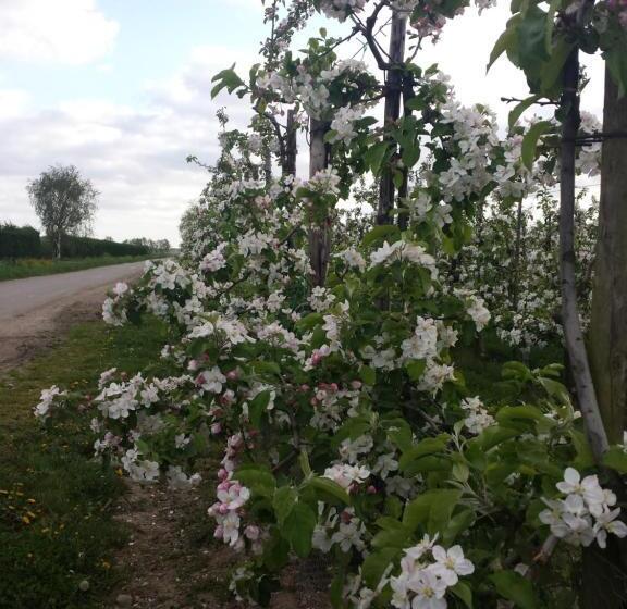 B&b Aan De Limes In Maurik
