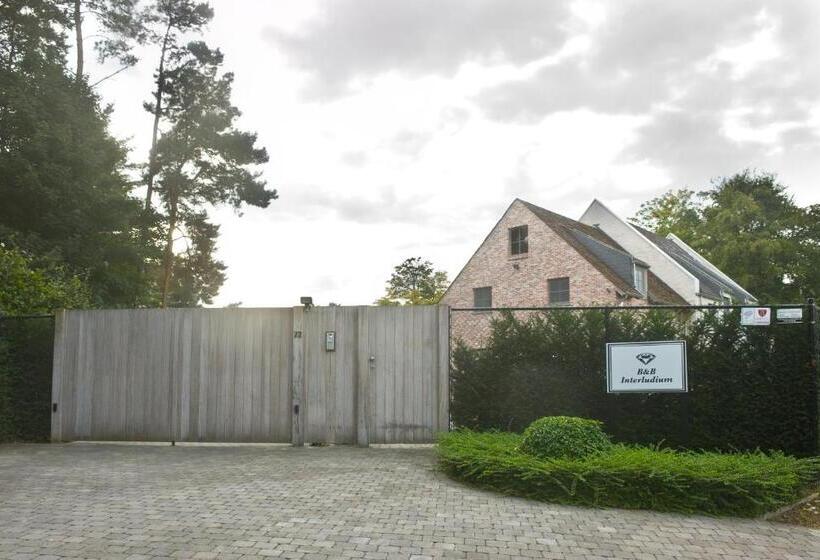 B&b Interludium