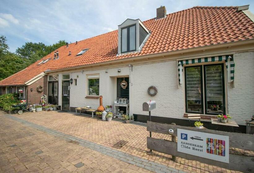 B&b Aangenaam   Olde Horst Diever