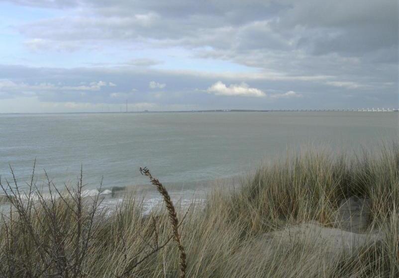 Bed and Breakfast 7even