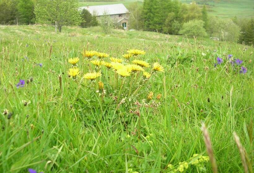 Bed and Breakfast Bastides Du Mezenc