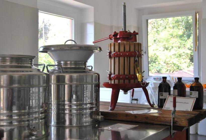 مبيت وإفطار Ca  Dei Fazzilisti