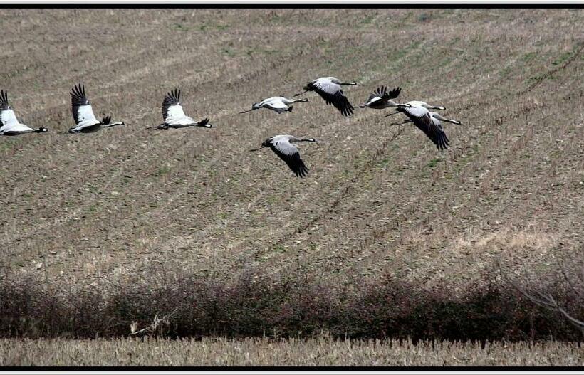 민박 Chambres D Hôtes Le Gilliard