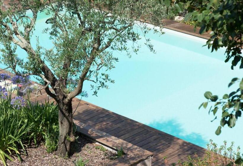 צימר Château Du Tasta